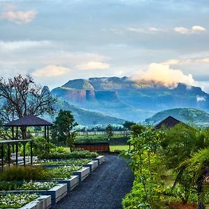 Viveda Wellness Resort